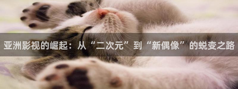 金牌影院最新影视大全：亚洲影视的崛起：从“二次元”到“新偶像”的蜕变之路