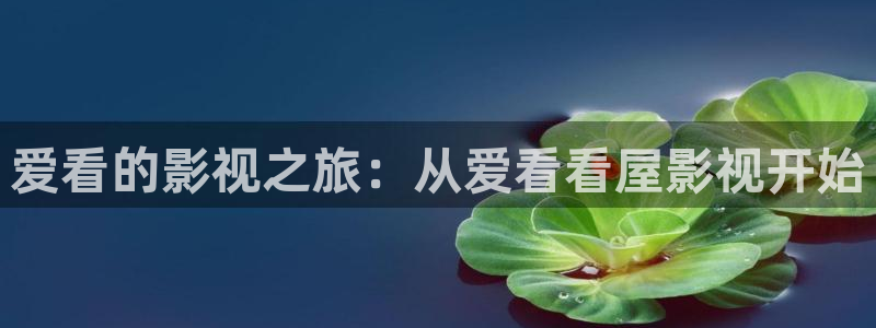 金牌影院官网：爱看的影视之旅：从爱看看屋影视开始