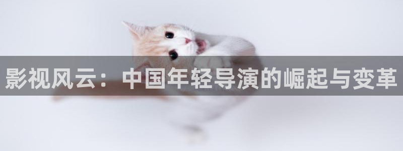 金牌影院影视：影视风云：中国年轻导演的崛起与变革