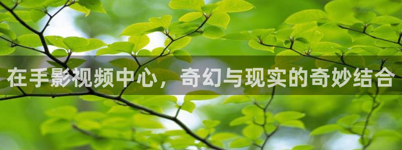 金牌电影网站：在手影视频中心，奇幻与现实的奇妙结合