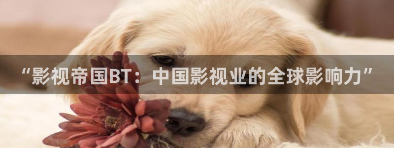 金牌影院官网首页：“影视帝国BT：中国影视业的全球影响力”