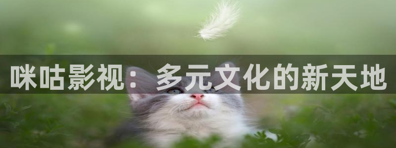 金牌女王电影完整版在线观看：咪咕影视：多元文化的新天地
