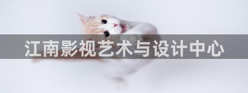 金牌影院\'：江南影视艺术与设计中心