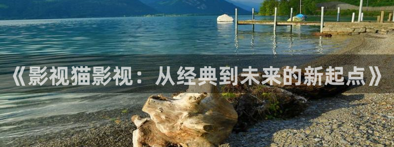 金牌奶妈电影完整版免费观看：《影视猫影视：从经典到未来的新起点》