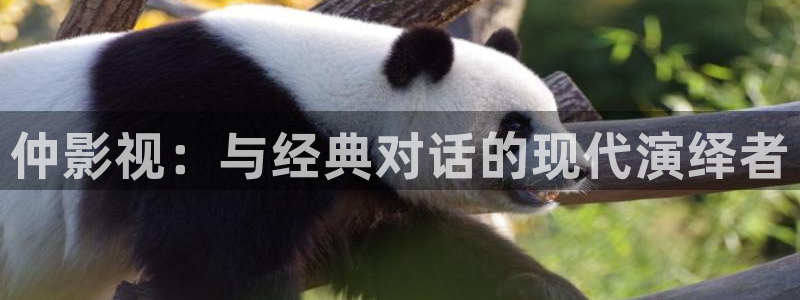金牌影院首页：仲影视：与经典对话的现代演绎者
