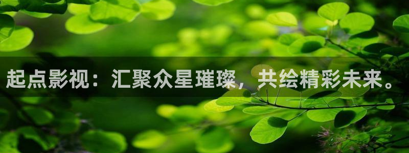 金牌女王电影免费完整版在线观看：起点影视：汇聚众星璀璨，共绘精彩未来。